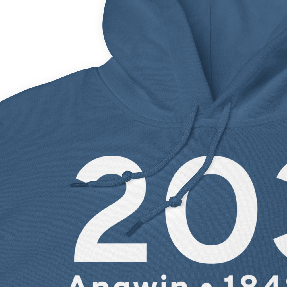 Angwin (K2O3) Airport Hoodie Sweatshirt 