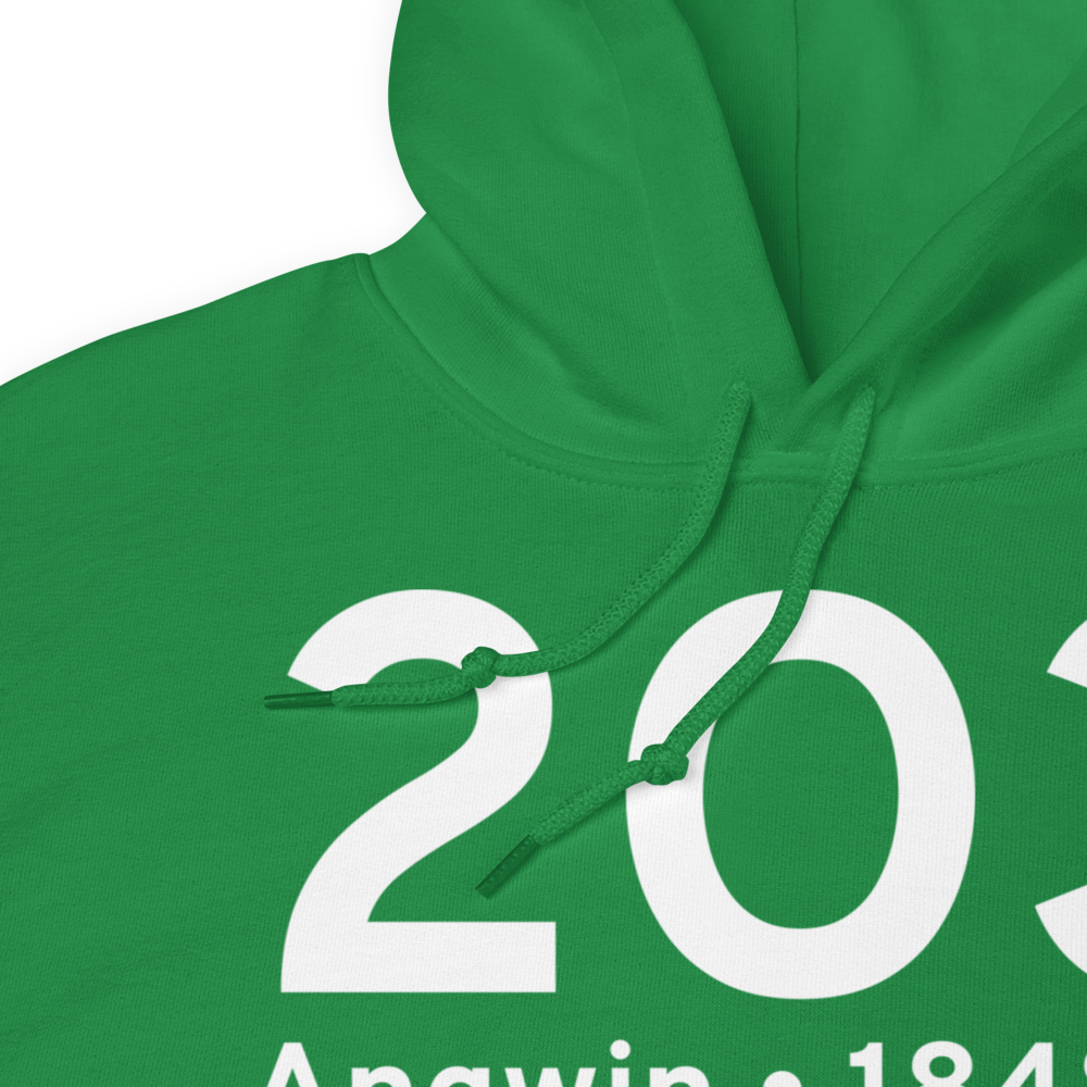 Angwin (K2O3) Airport Hoodie Sweatshirt 