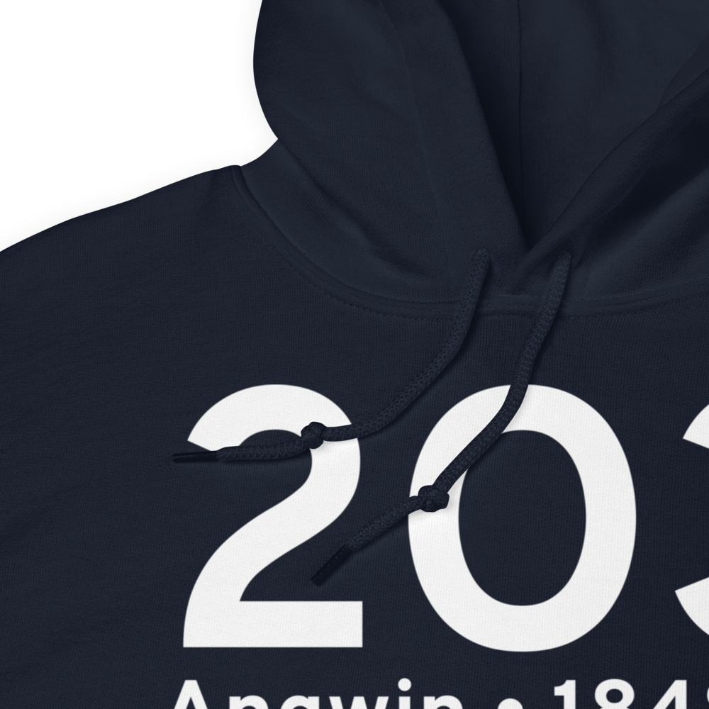 Angwin (K2O3) Airport Hoodie Sweatshirt 