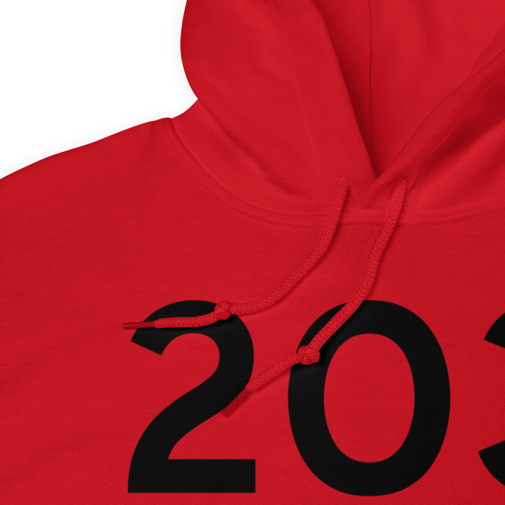 Angwin (K2O3) Airport Hoodie Sweatshirt 
