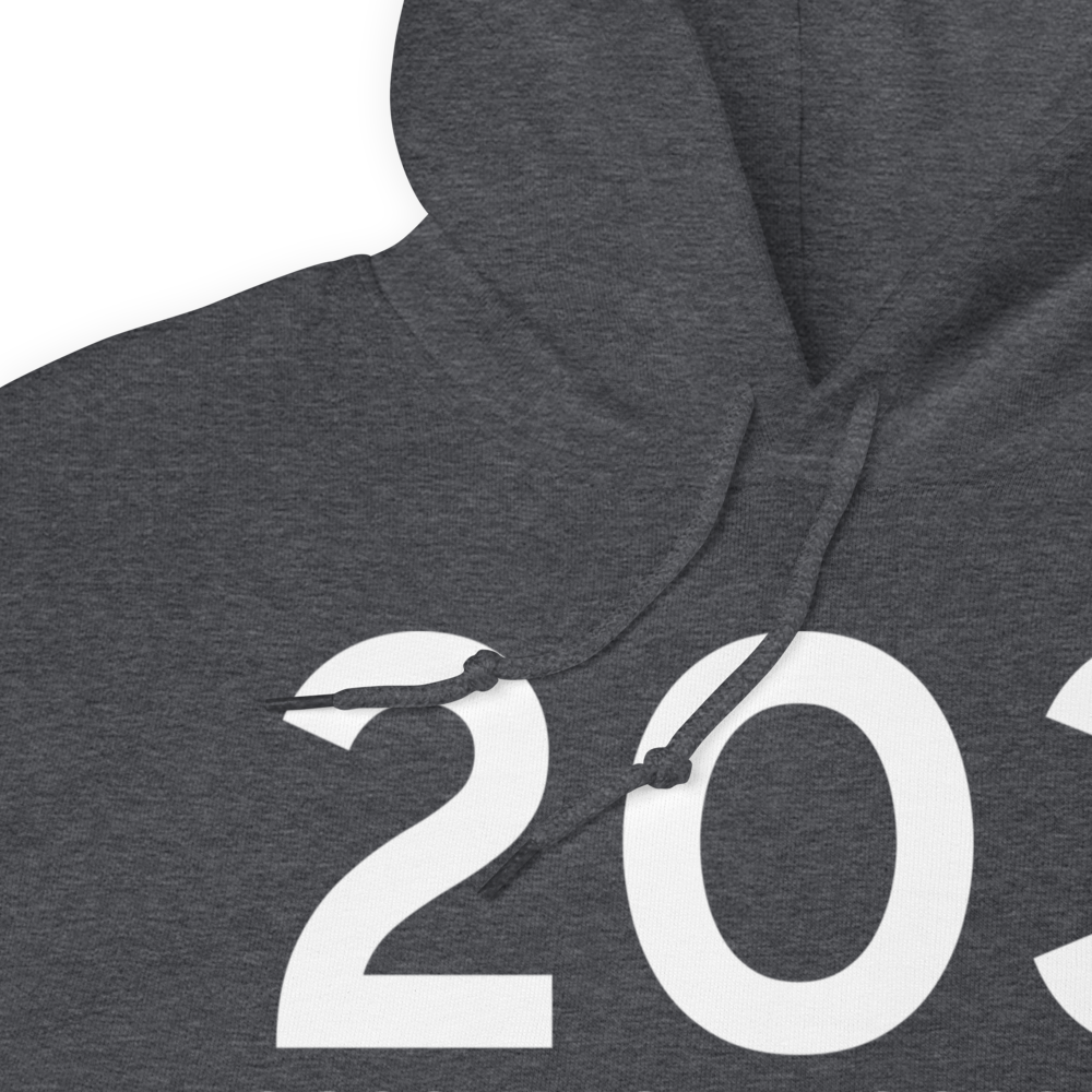 Angwin (K2O3) Airport Hoodie Sweatshirt 