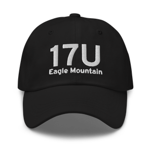 Eagle Mountain (17U) Airport Hat