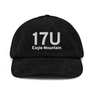 Eagle Mountain (17U) Airport Hat