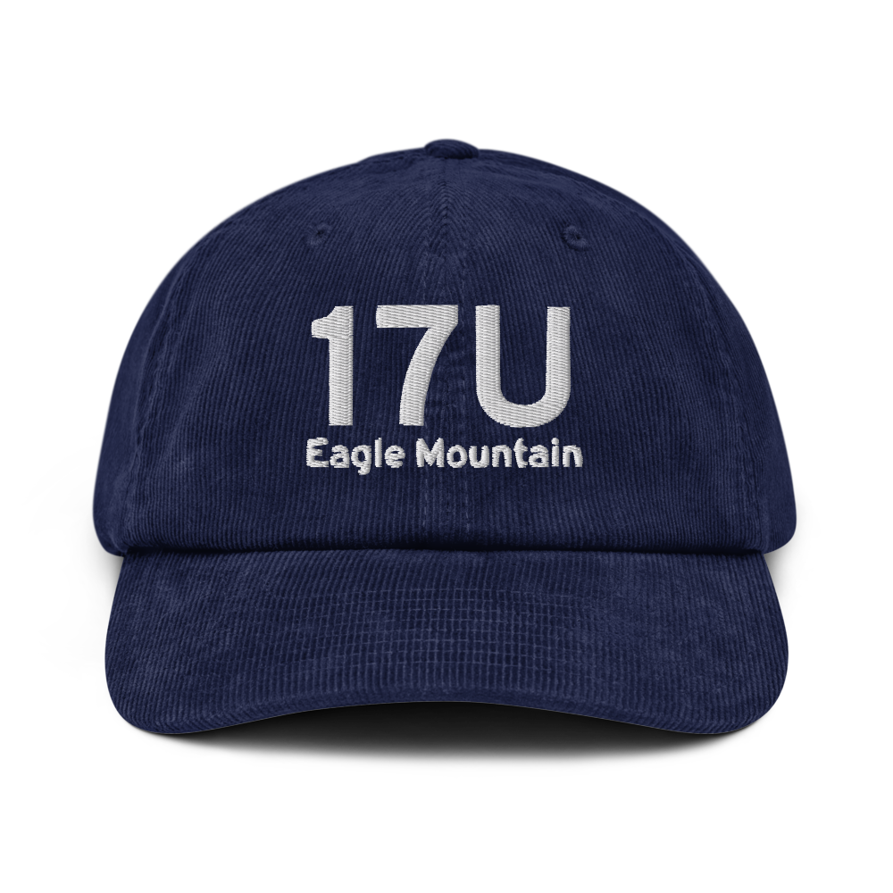 Eagle Mountain (17U) Airport Hat 