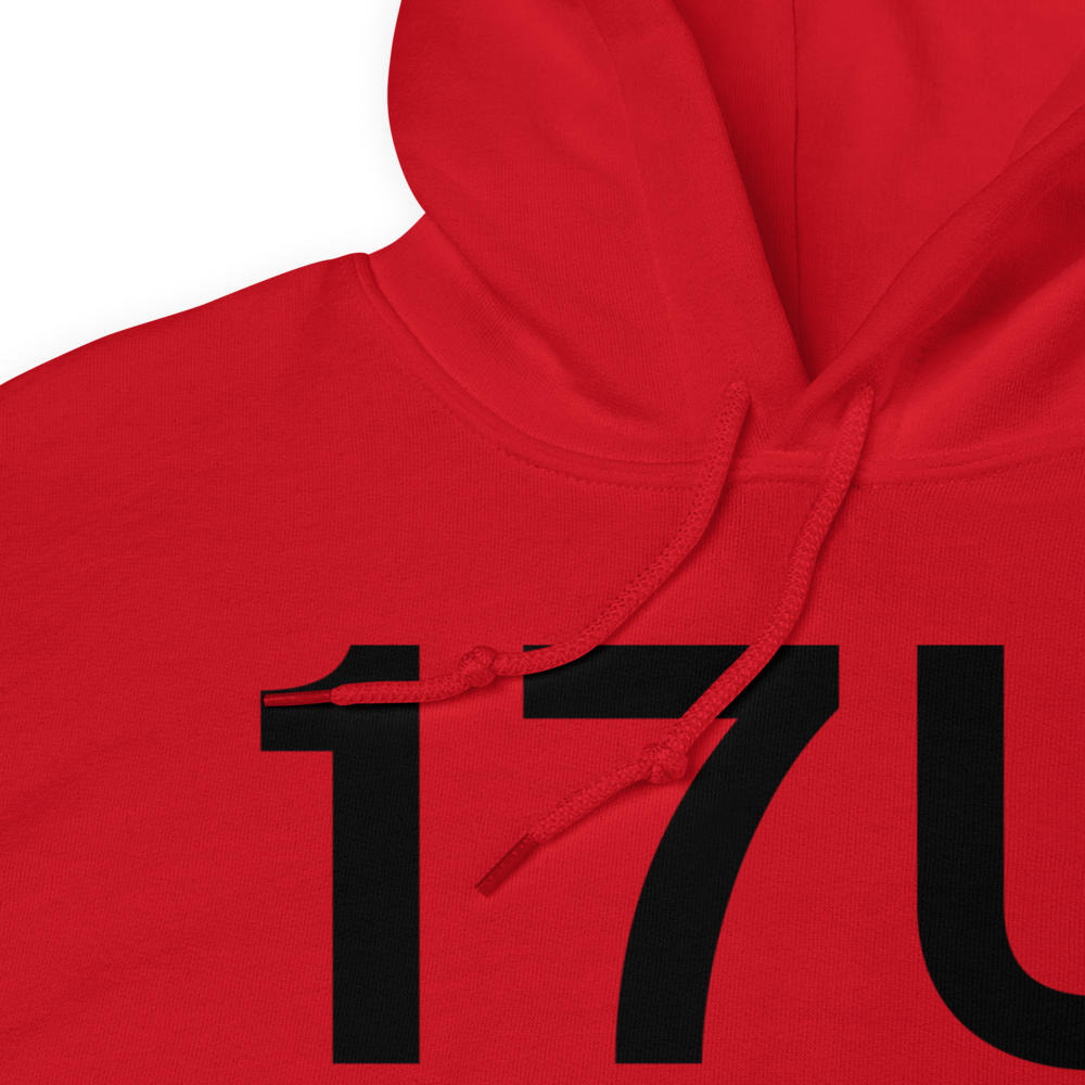 Eagle Mountain (17U) Airport Hoodie Sweatshirt 