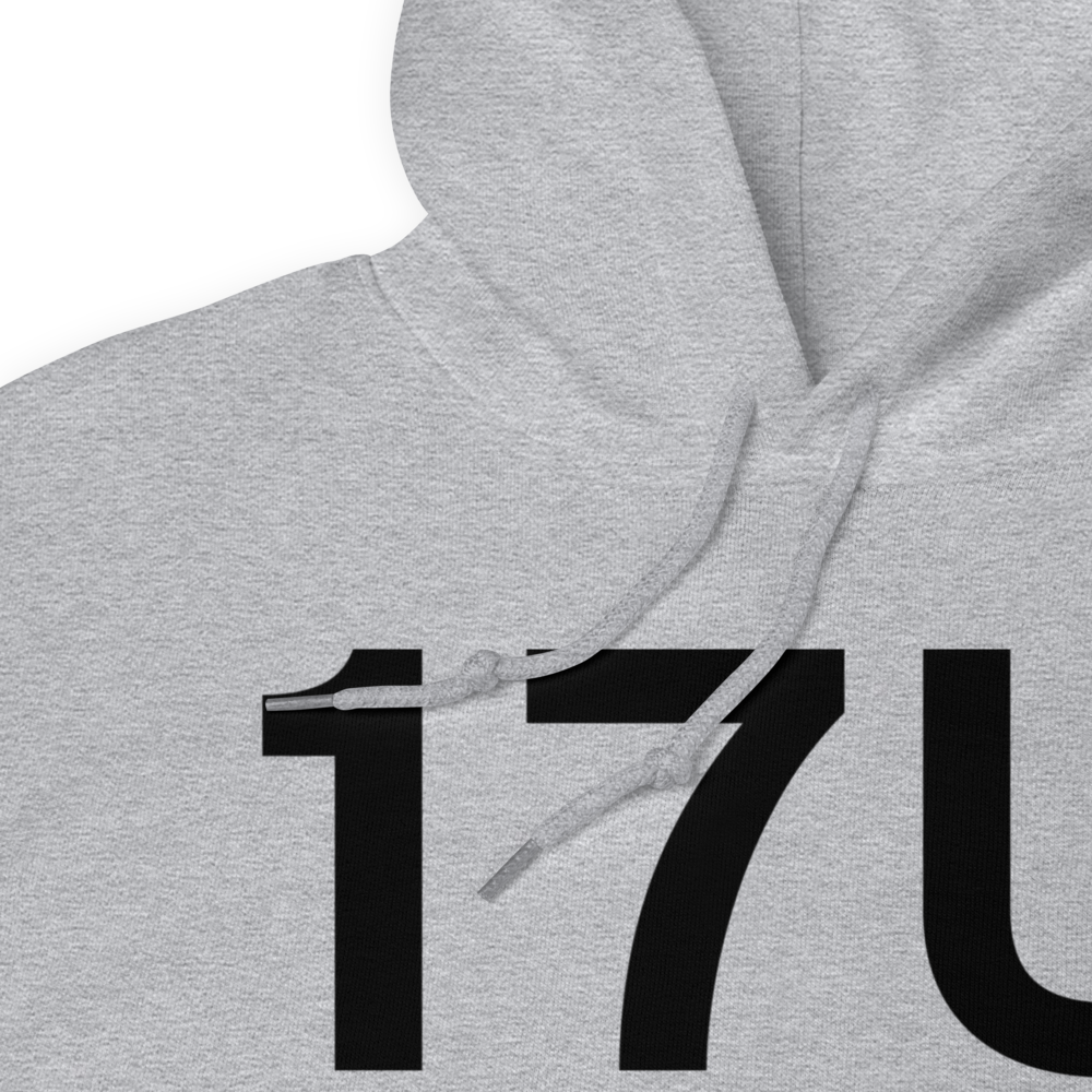 Eagle Mountain (17U) Airport Hoodie Sweatshirt 