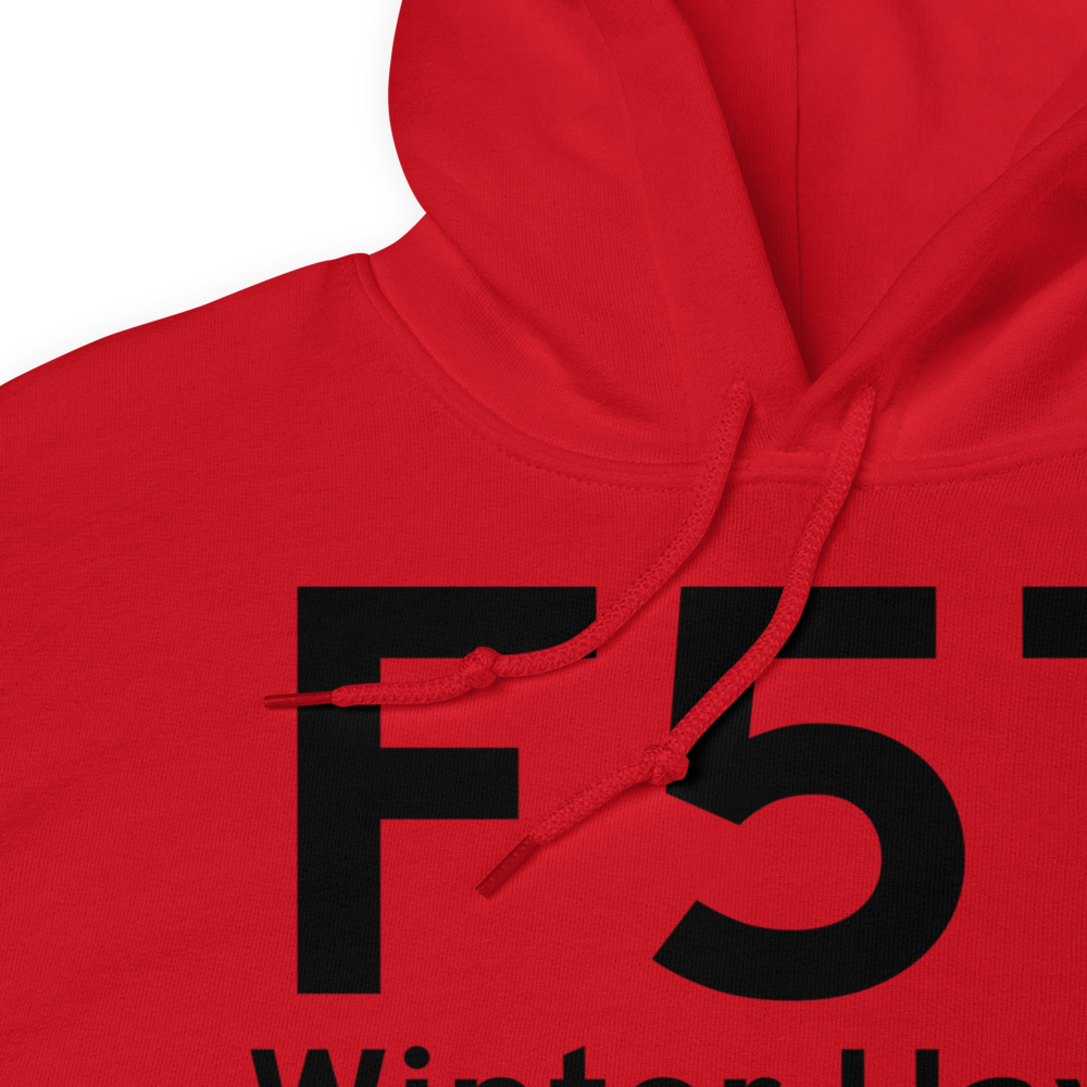 Winter Haven (F57) Airport Hoodie Sweatshirt 