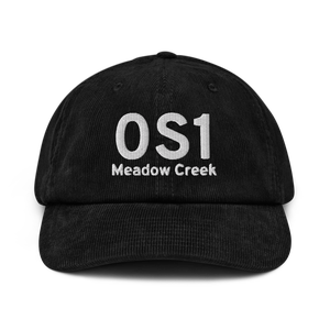 Meadow Creek (0S1) Airport Hat