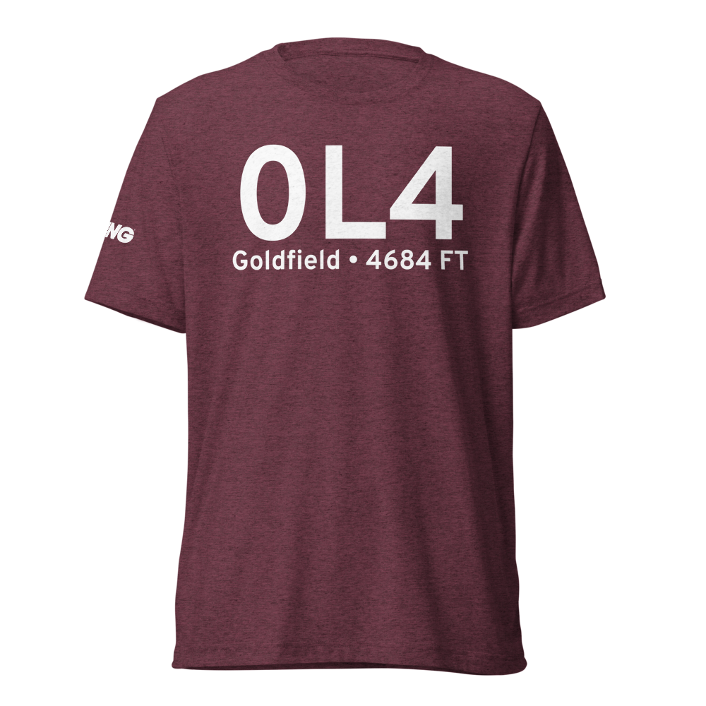 Goldfield (0L4) Airport Tri-blend T-Shirt 