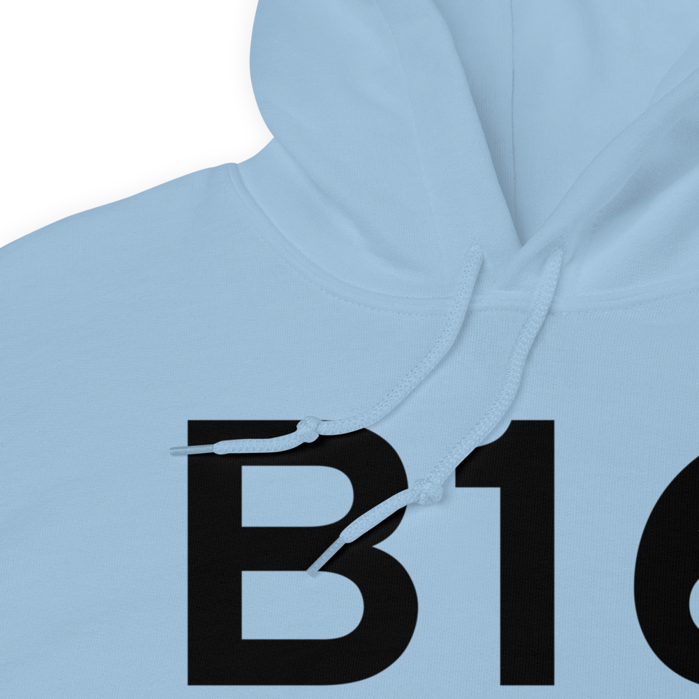 Weedsport (KB16) Airport Hoodie Sweatshirt 