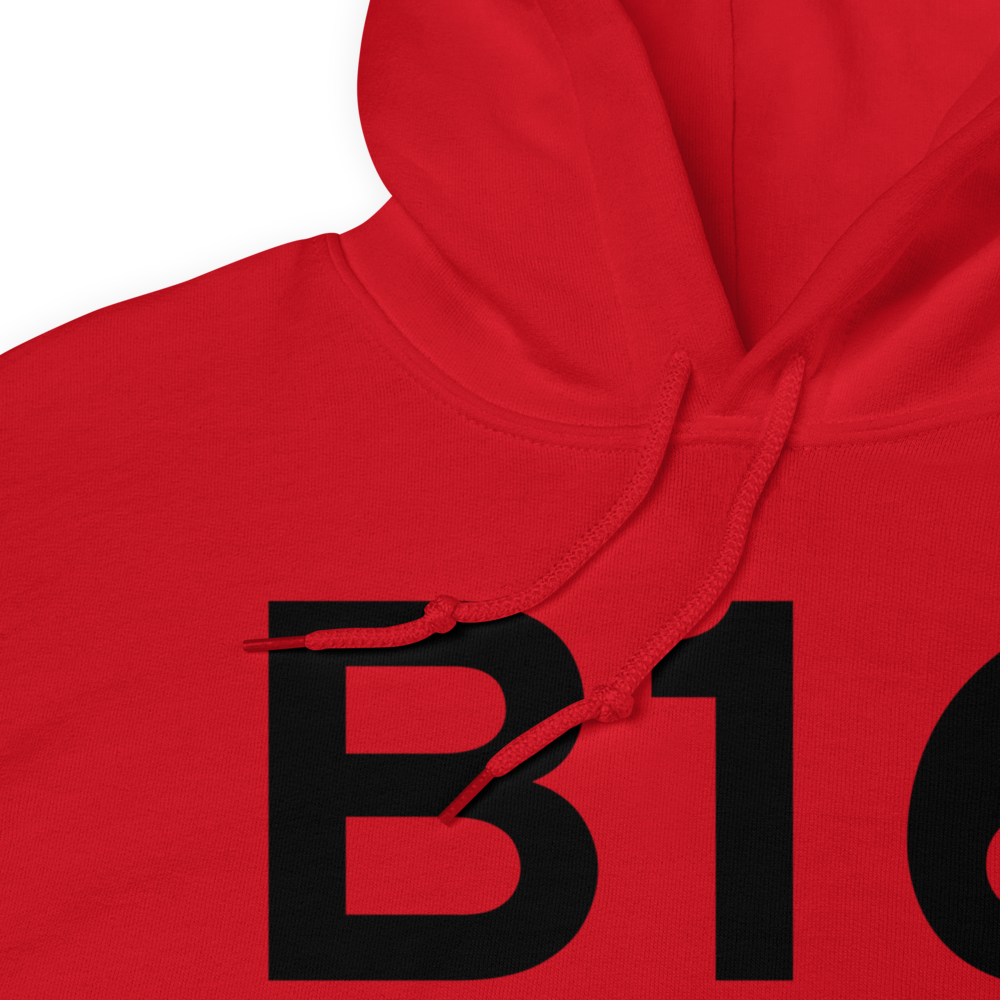 Weedsport (KB16) Airport Hoodie Sweatshirt 