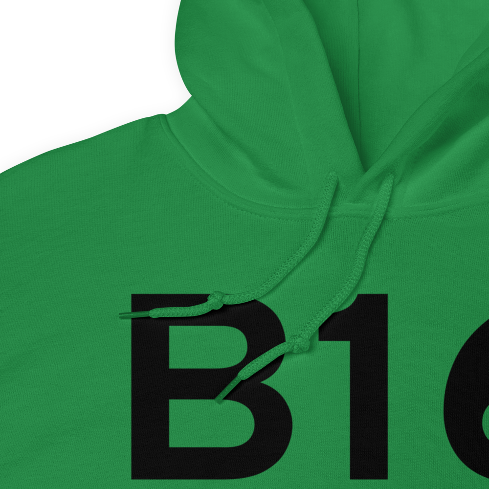 Weedsport (KB16) Airport Hoodie Sweatshirt 