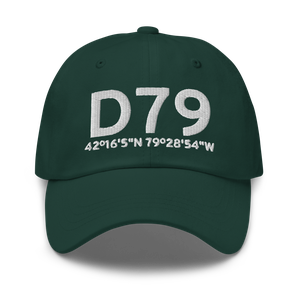 Mayville (D79) Airport Hat