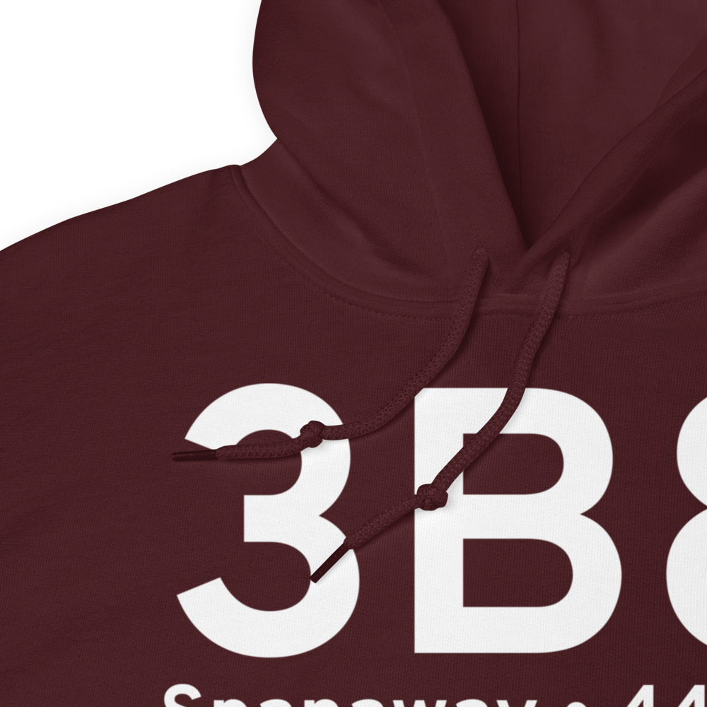 Spanaway (3B8) Airport Hoodie Sweatshirt 