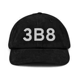 Spanaway (3B8) Airport Hat