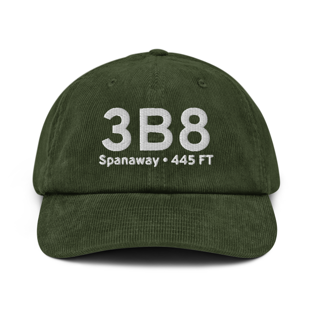 Spanaway (3B8) Airport Hat 