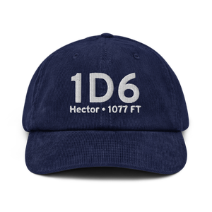 Hector (1D6) Airport Hat