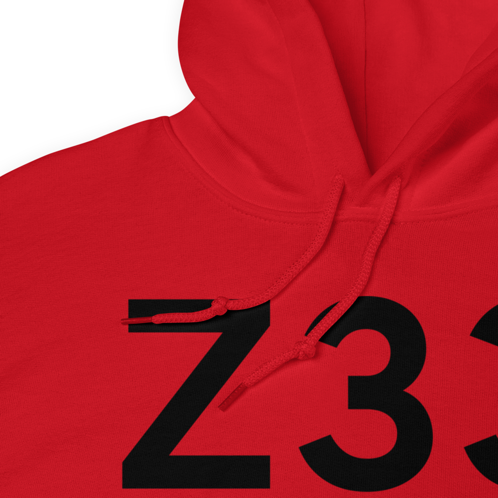 Aleknagik (Z33) Airport Hoodie Sweatshirt 