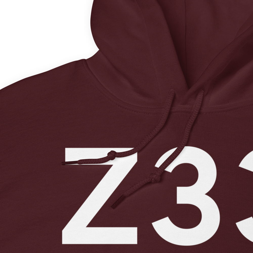 Aleknagik (Z33) Airport Hoodie Sweatshirt 
