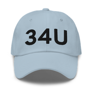 Elk Rapids (34U) Airport Hat