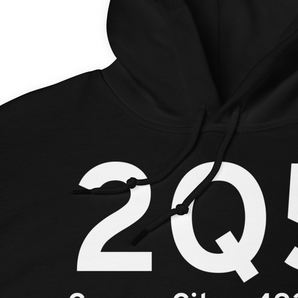 Carson City (2Q5) Airport Hoodie Sweatshirt 