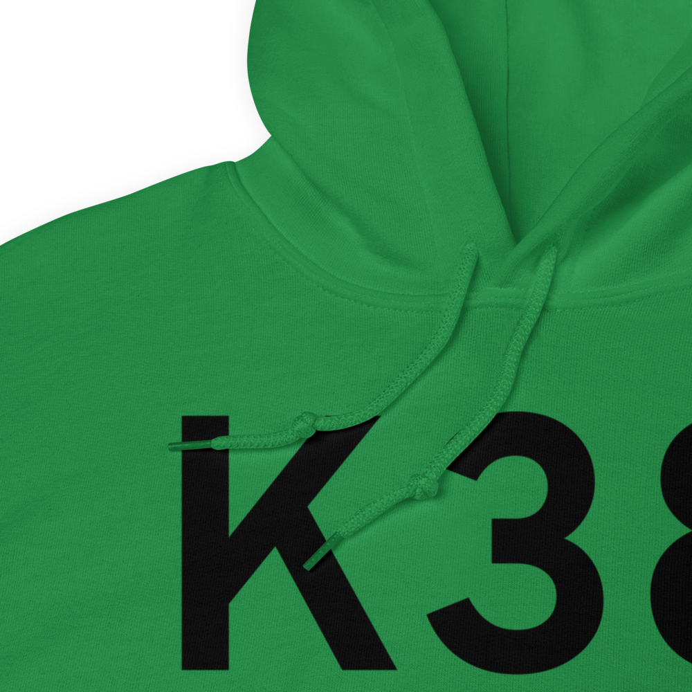 Washington (KK38) Airport Hoodie Sweatshirt 