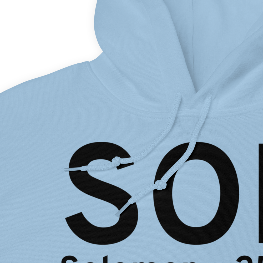 Solomon (AK26) Airport Hoodie Sweatshirt 