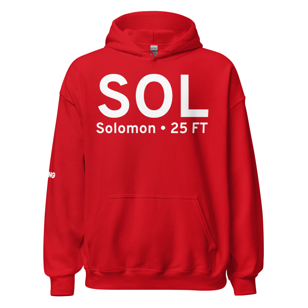 Solomon (AK26) Airport Hoodie Sweatshirt 