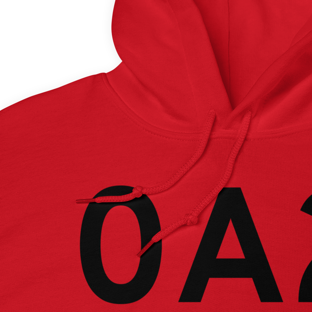 Calhoun Falls (K0A2) Airport Hoodie Sweatshirt 