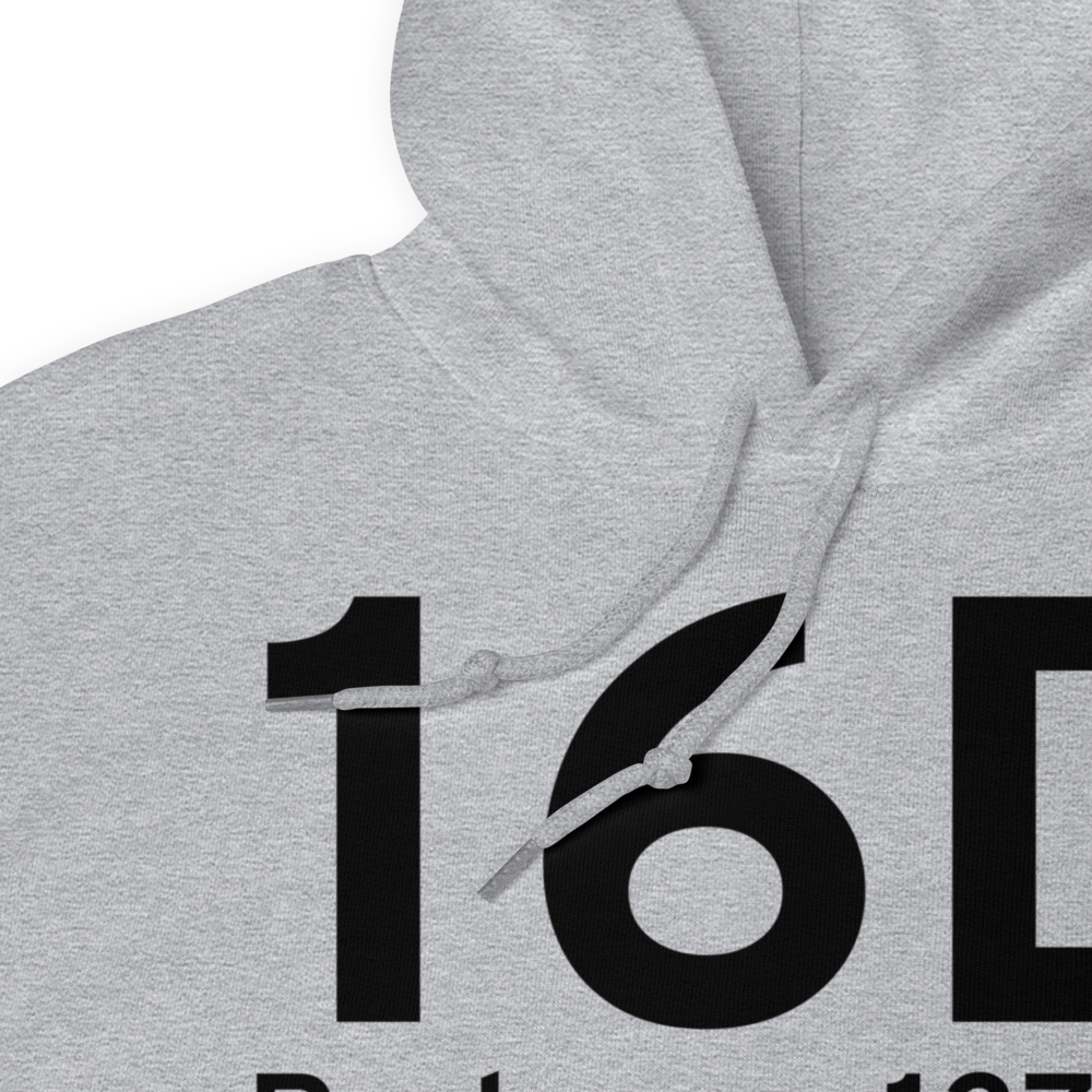 Perham (K16D) Airport Hoodie Sweatshirt 