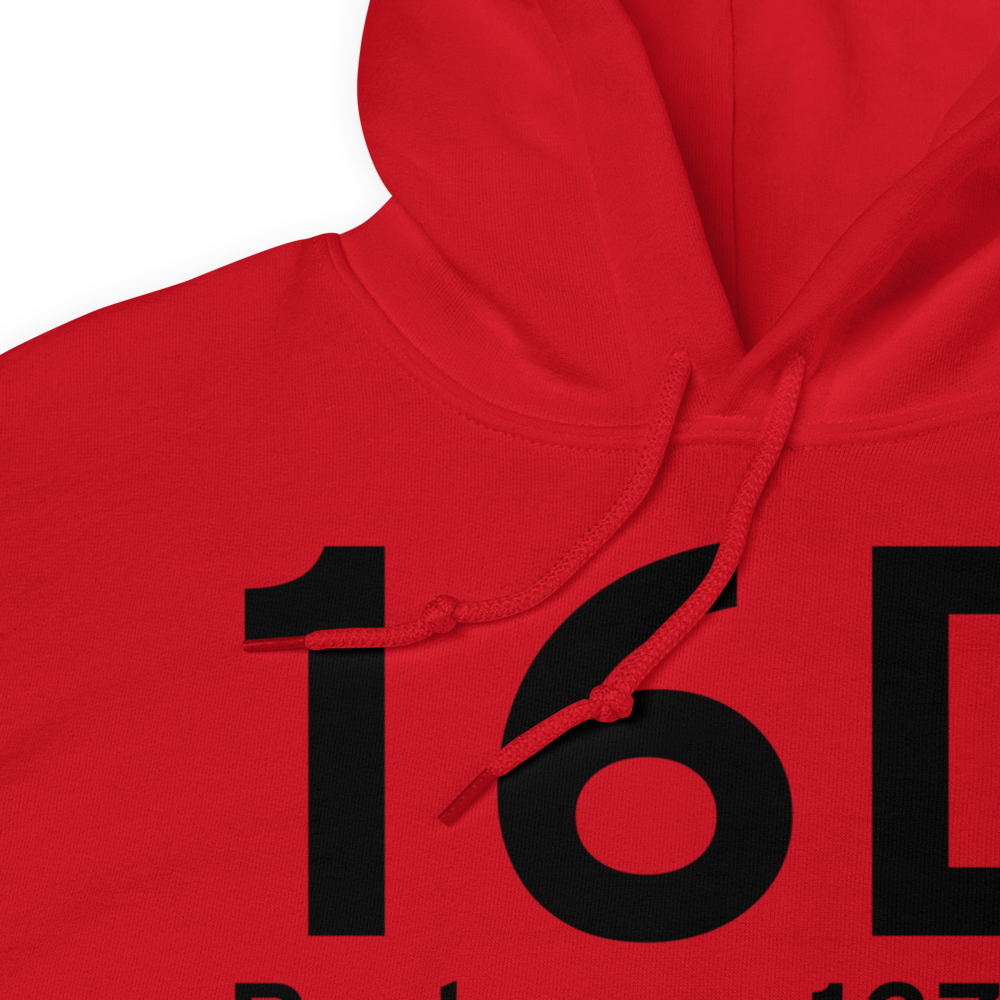 Perham (K16D) Airport Hoodie Sweatshirt 