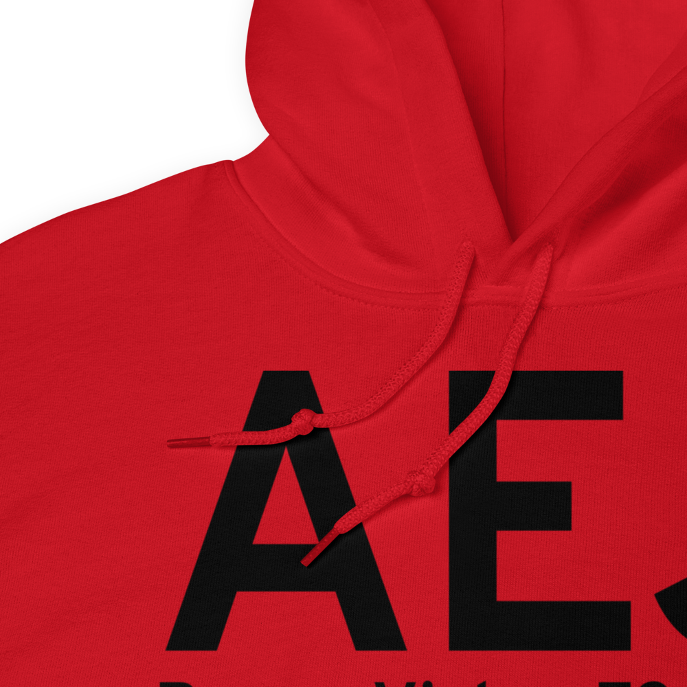 Buena Vista (KAEJ) Airport Hoodie Sweatshirt 
