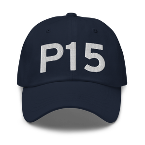 Pittsfield (P15) Airport Hat