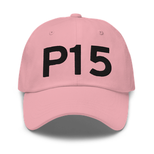 Pittsfield (P15) Airport Hat