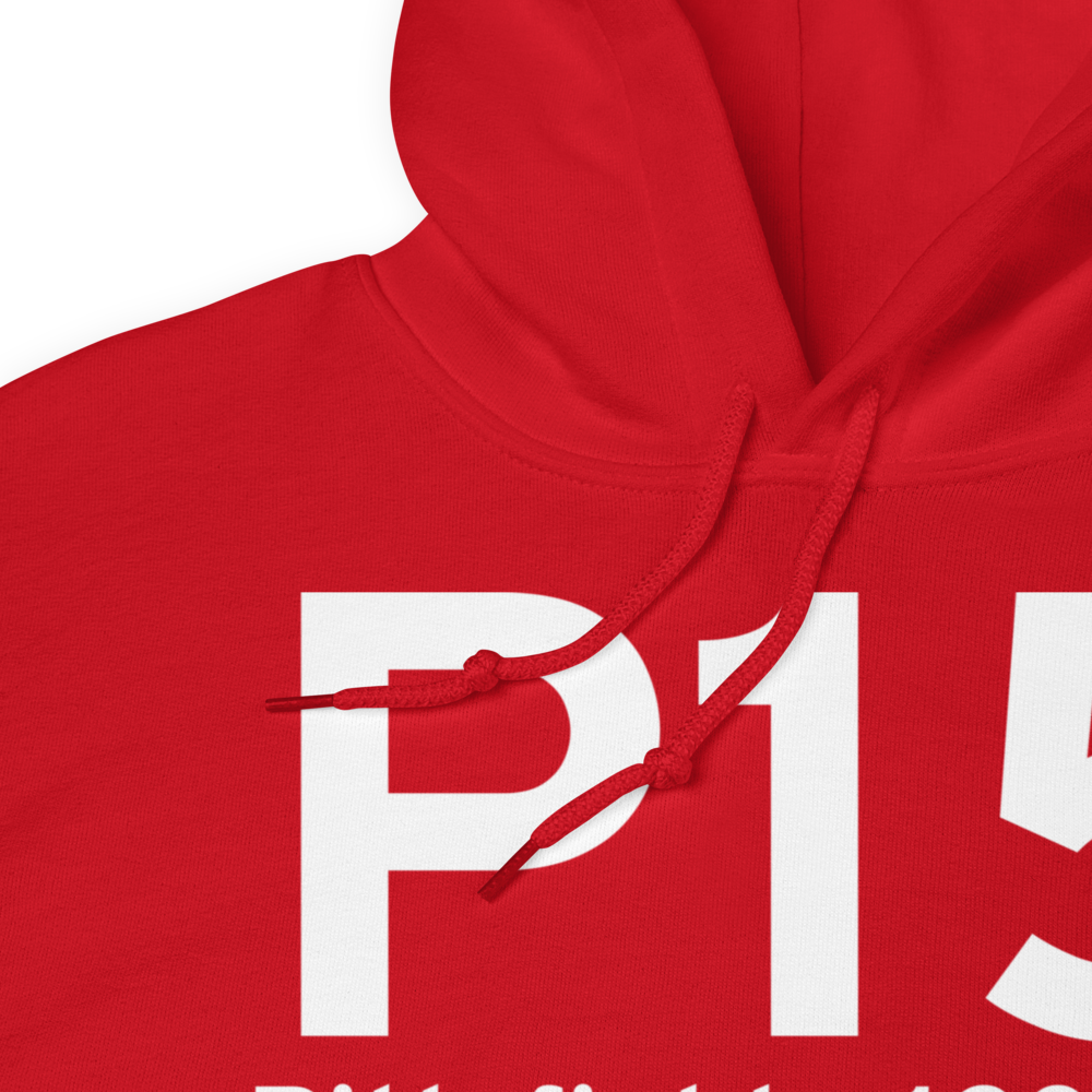 Pittsfield (P15) Airport Hoodie Sweatshirt 