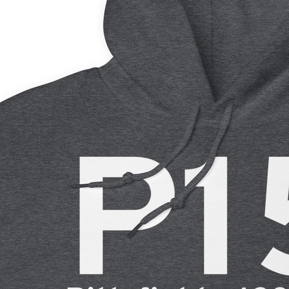 Pittsfield (P15) Airport Hoodie Sweatshirt 