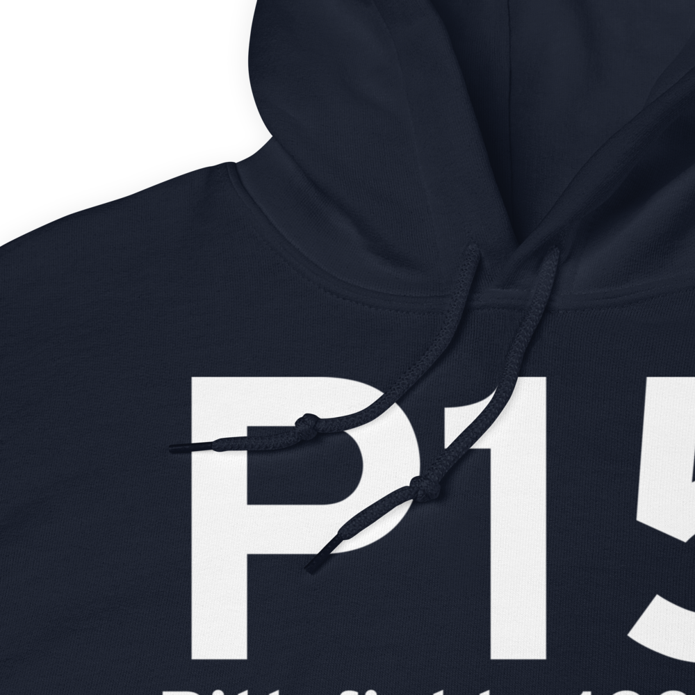 Pittsfield (P15) Airport Hoodie Sweatshirt 
