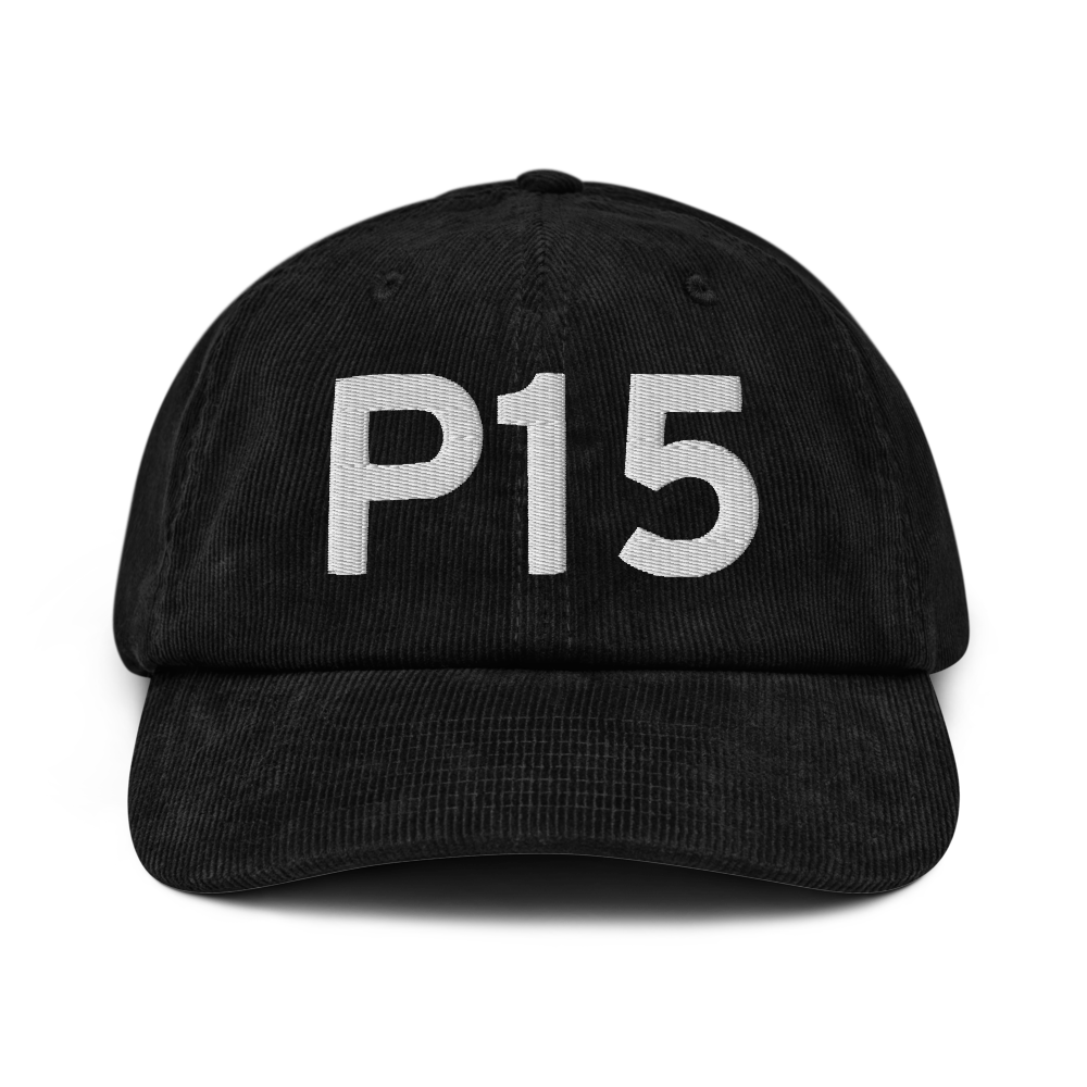 Pittsfield (P15) Airport Hat 