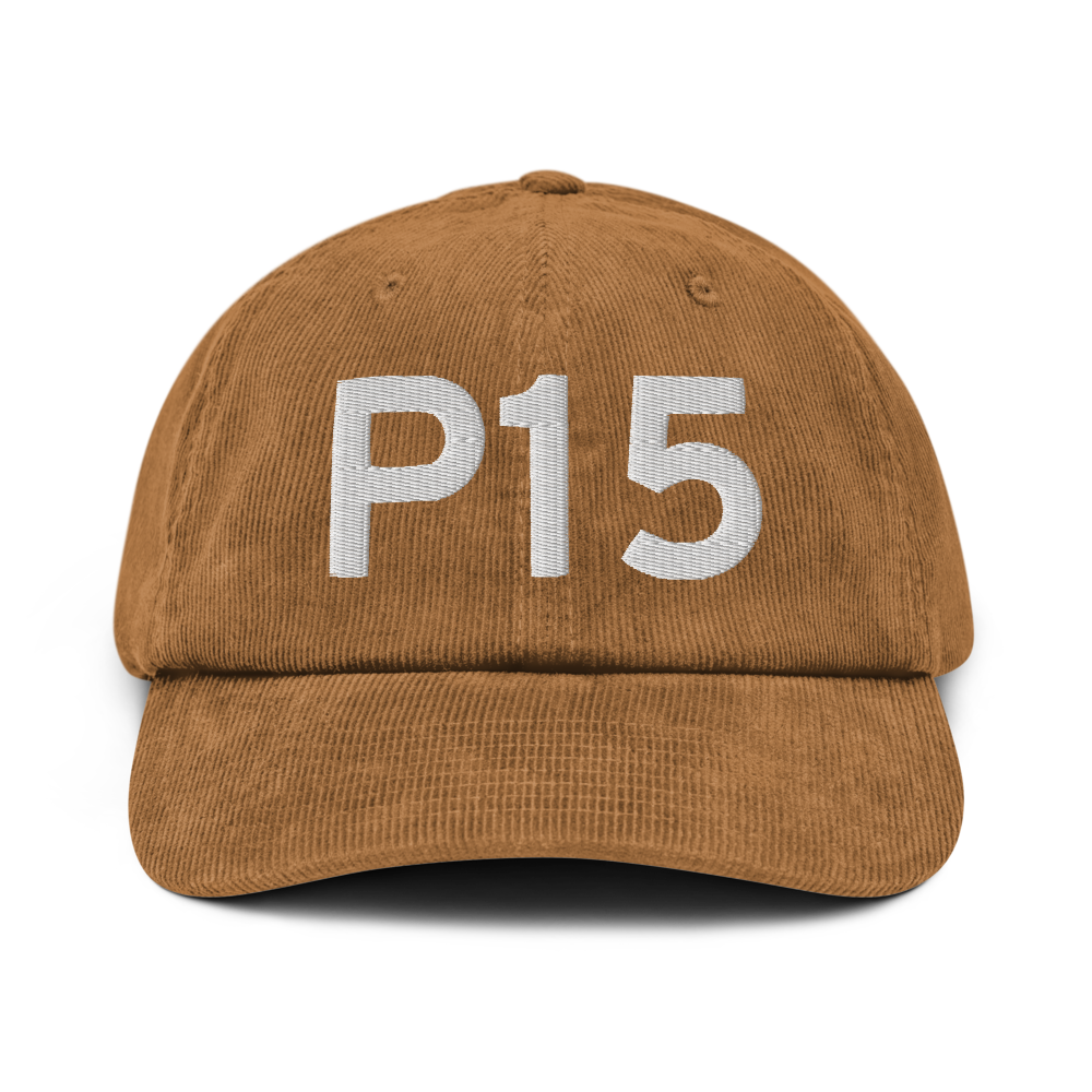 Pittsfield (P15) Airport Hat 