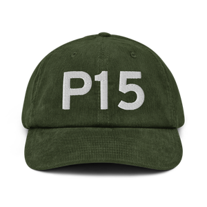 Pittsfield (P15) Airport Hat