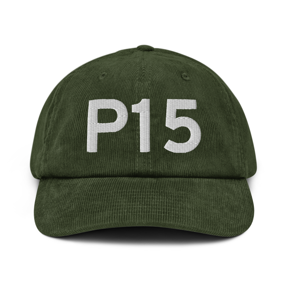 Pittsfield (P15) Airport Hat 