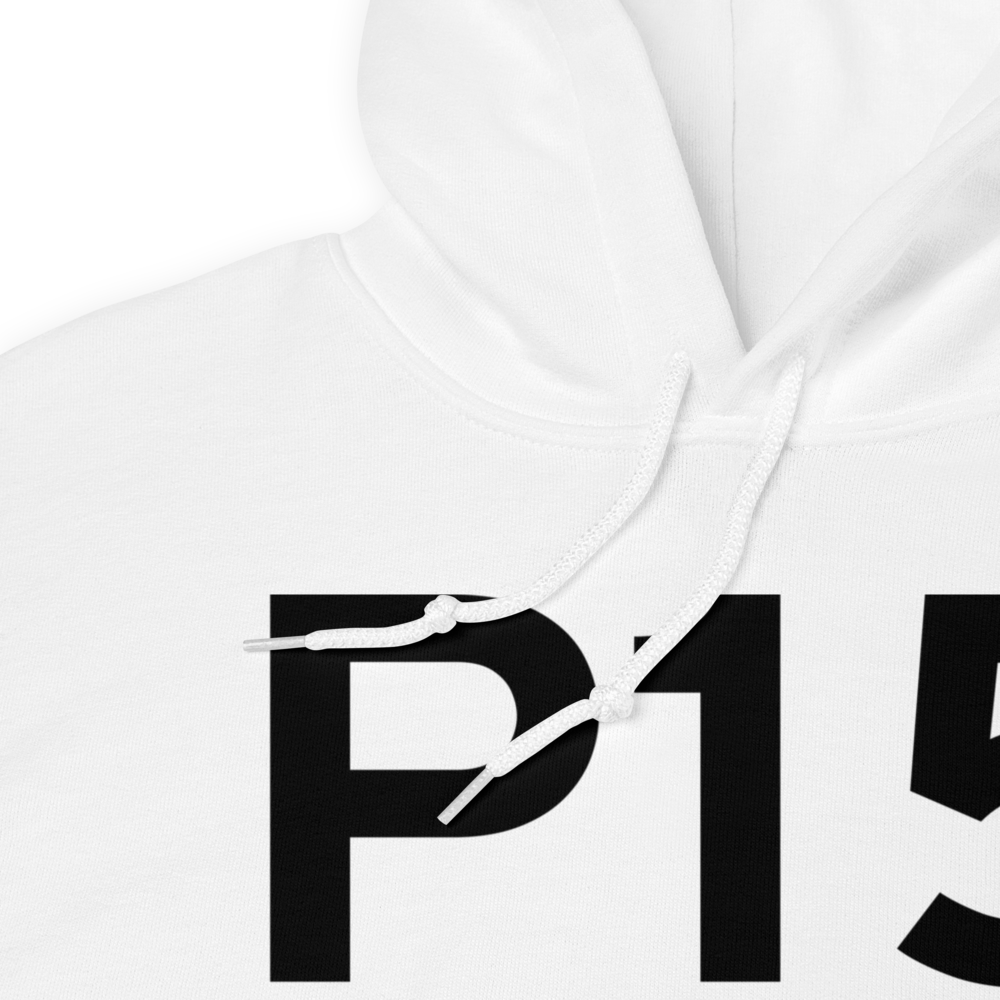 Pittsfield (P15) Airport Hoodie Sweatshirt 