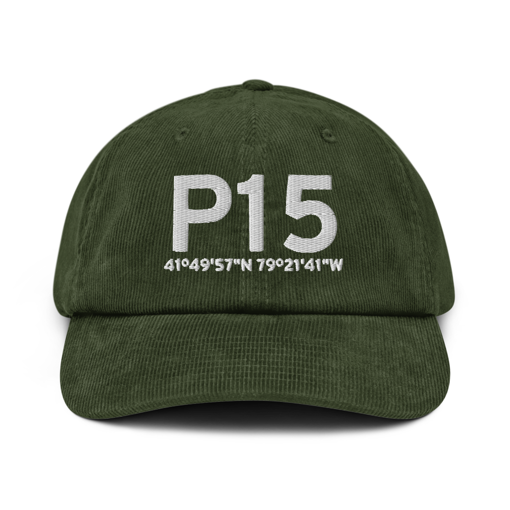 Pittsfield (P15) Airport Hat 