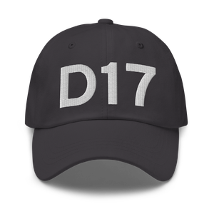 Delta (KD17) Airport Hat