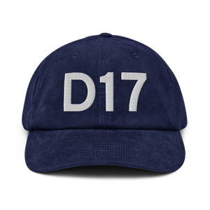 Delta (KD17) Airport Hat