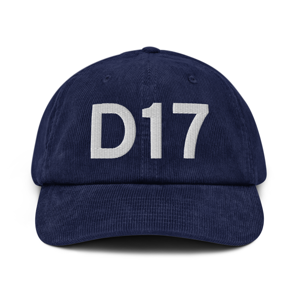 Delta (KD17) Airport Hat 