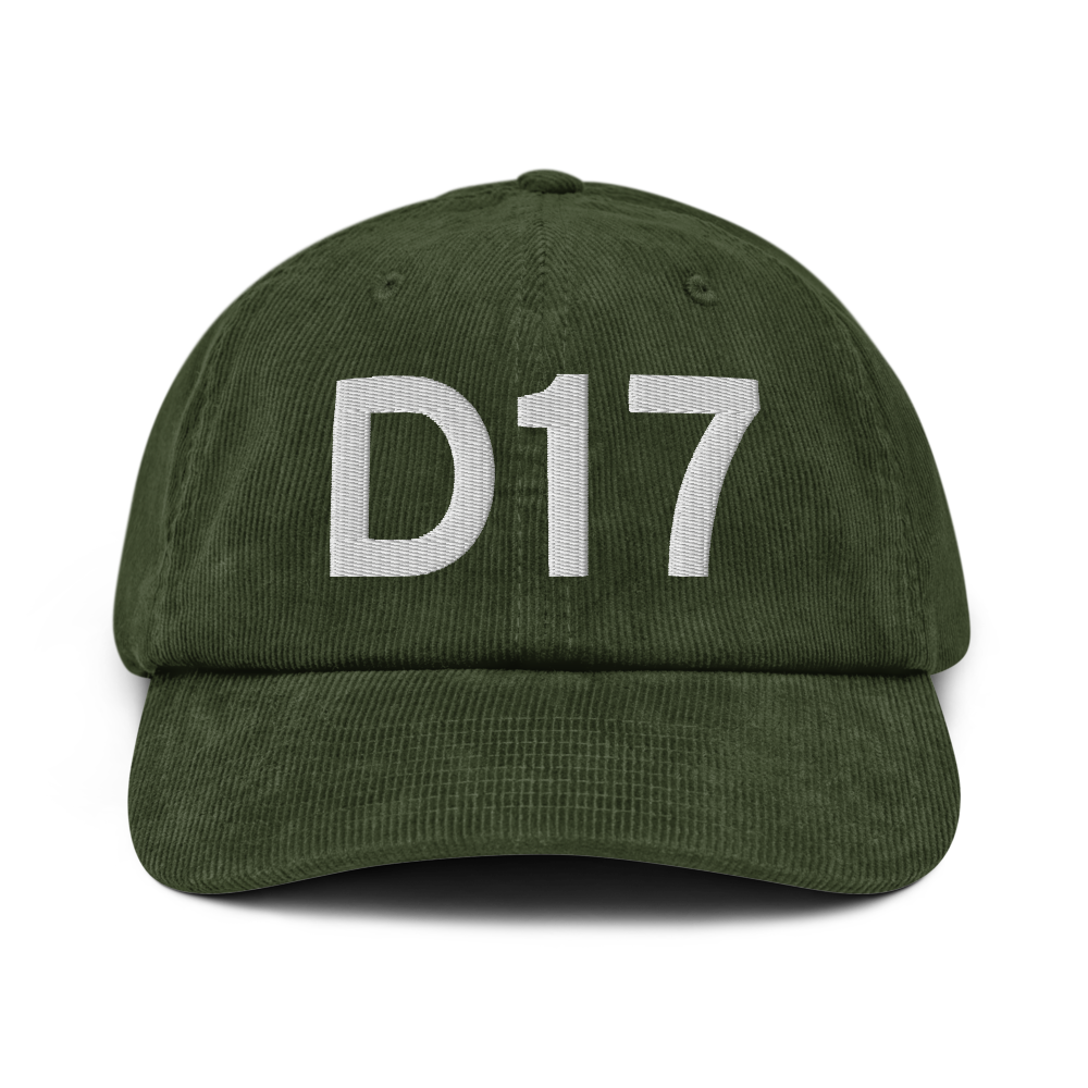Delta (KD17) Airport Hat 