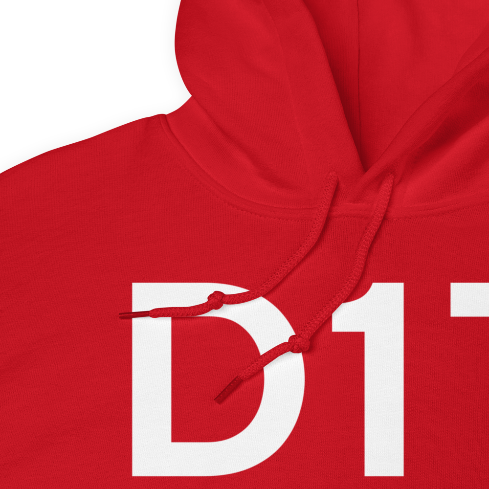 Delta (KD17) Airport Hoodie Sweatshirt 