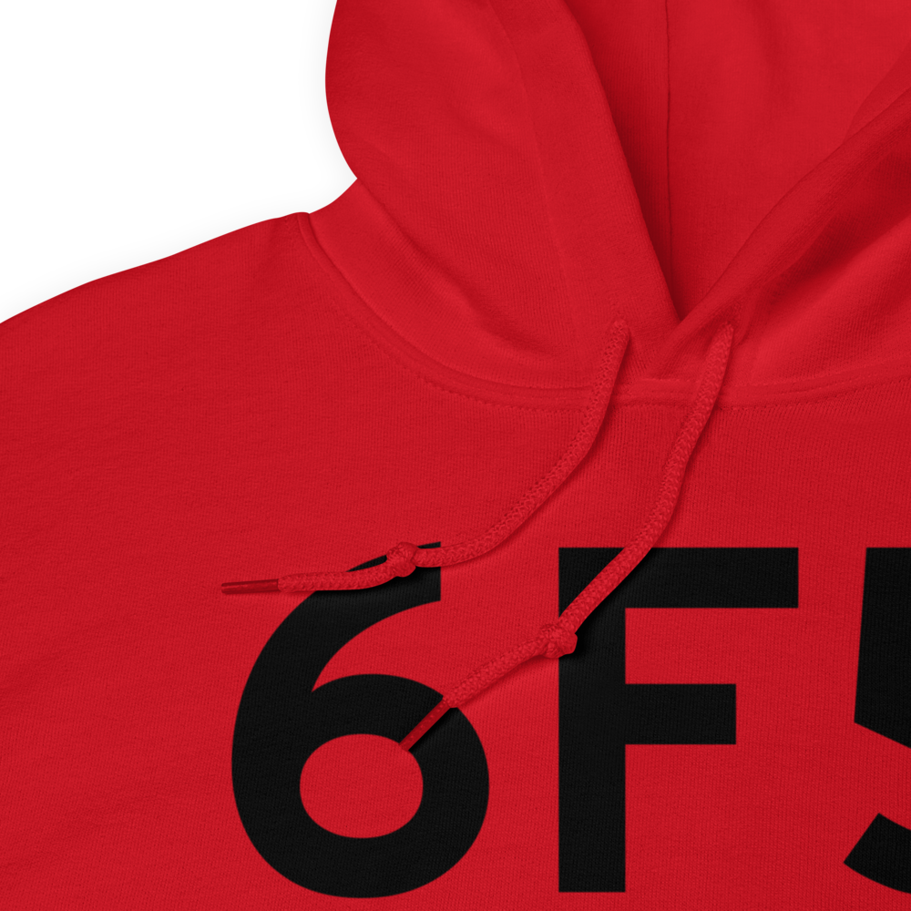 Albany (US-0275) Airport Hoodie Sweatshirt 