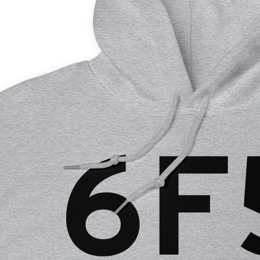 Albany (US-0275) Airport Hoodie Sweatshirt 